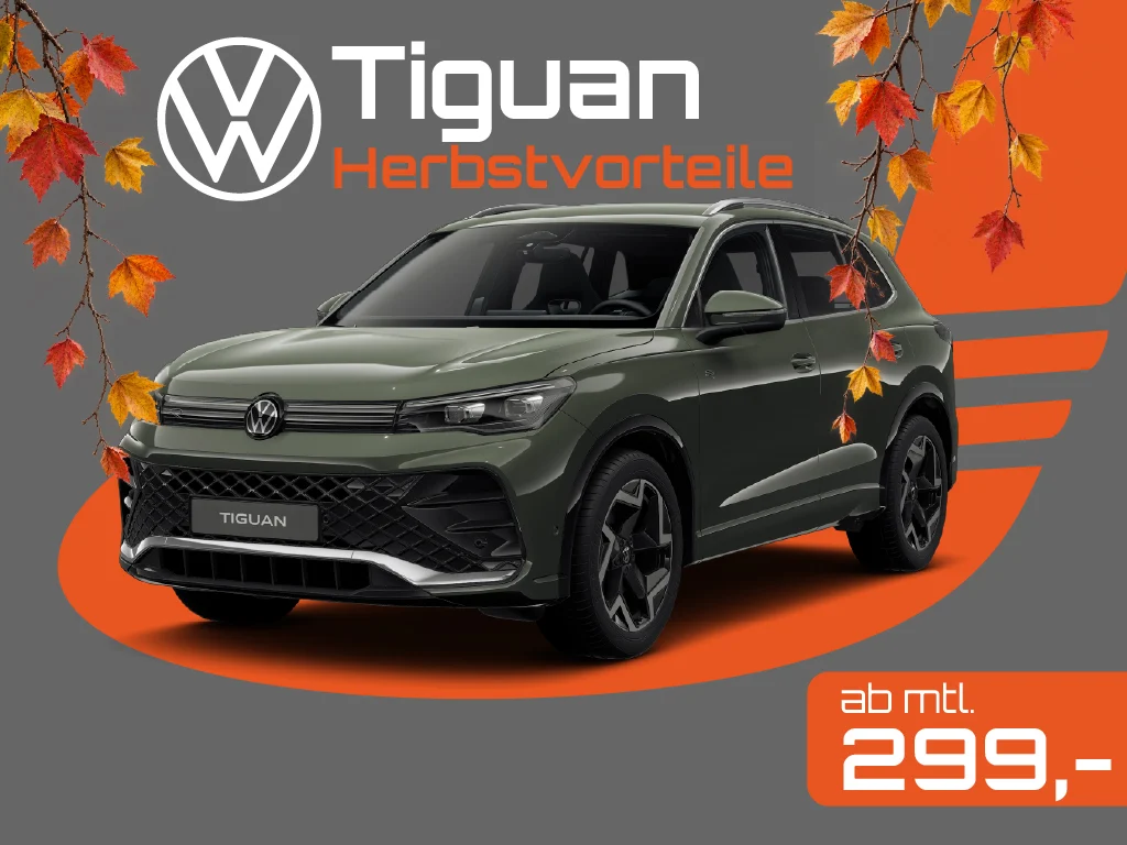 Tiguan Herbst 01